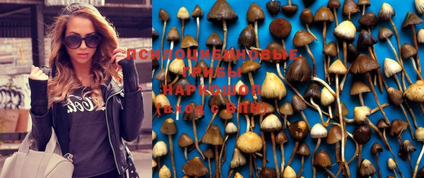 первитин Киреевск